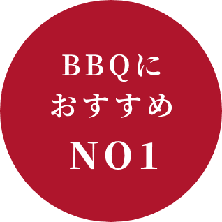 BBQにおすすめ NO1